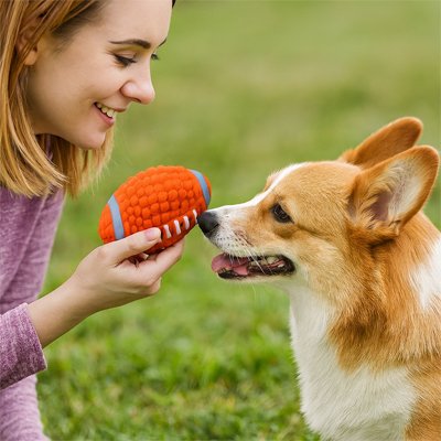 Balle pour Chien DogRush durable 