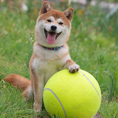 Balle pour chien MegaFetch akita jeu