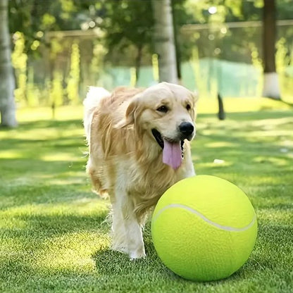 Balle pour chien MegaFetch jeu golden parc