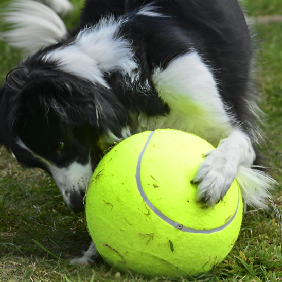 Balle pour chien MegaFetch