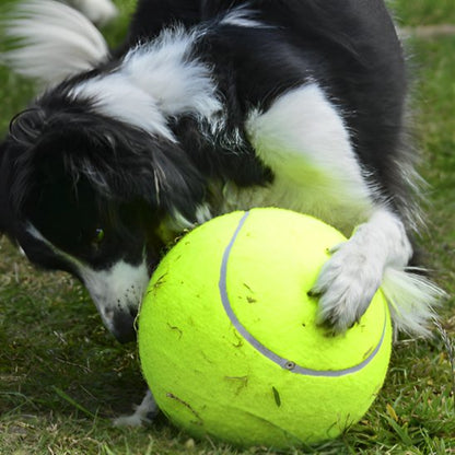 Balle pour chien MegaFetch