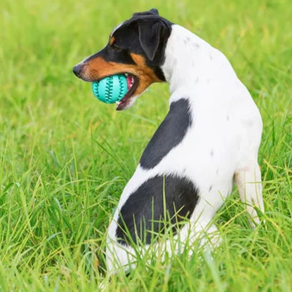 Balle pour chien SnackBounce bleu entrainement jeux