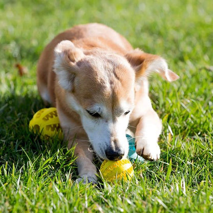 Balle pour chien SnackBounce jaune friandises jeux