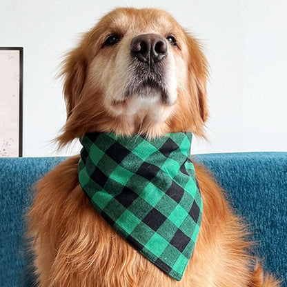 Bandana Chien carreaux noir et vert sur labrador