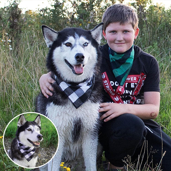 husky avec bandana chien carreaux blanc et noir et garçon 