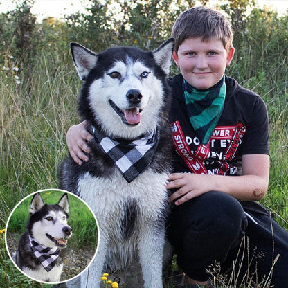 husky avec bandana chien carreaux blanc et noir et garçon 