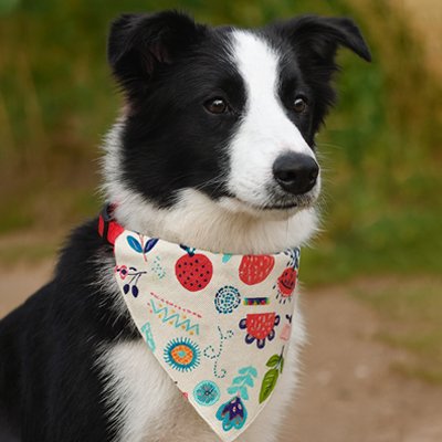 Bandana pour Chien blanc avec motifs natures mignons 