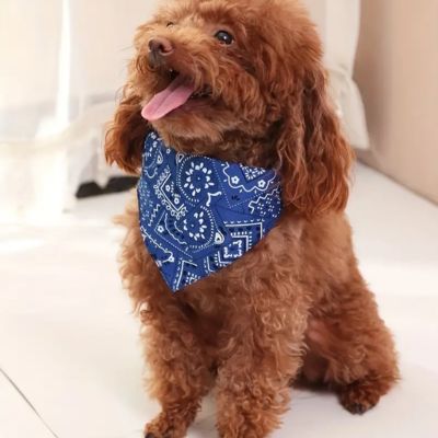 Bandana Pour Chien - Collier | FunzeePet™