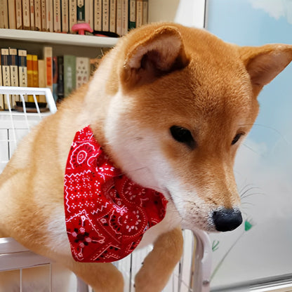 Bandana Pour Chien - Collier | FunzeePet™