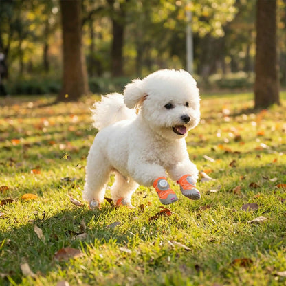 basket pour chien pawendurance orange bichon forêt