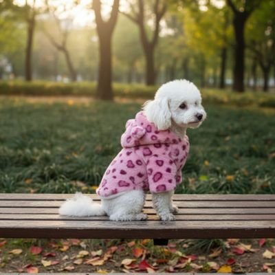 Bichon avec  pull Chien rose motif léopard doux 