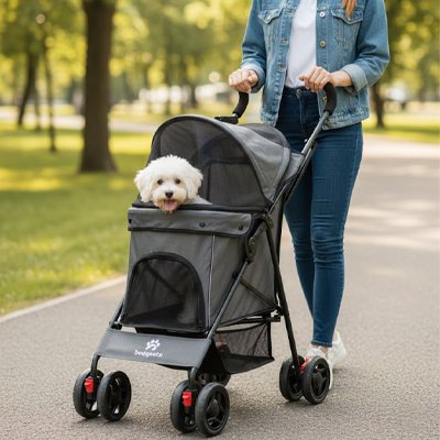 bichon dans Poussette chiens Mobiconfort grise robuste