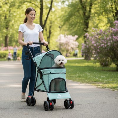 bichon dans Poussette pour chien bleu ciel promenade parc