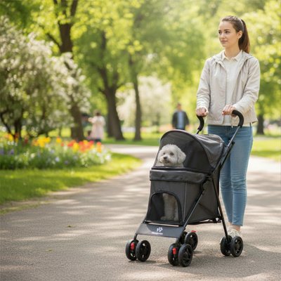 bichon dans Poussette pour chien noir promenade parc