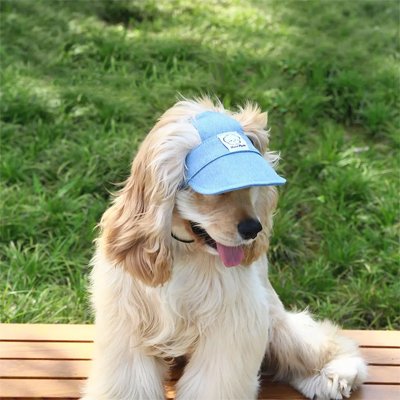 Casquette chien​ WoufCap matière jeans bleu moderne