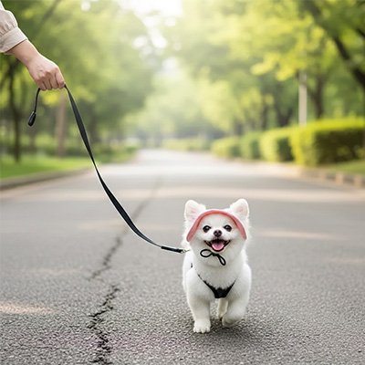 Casquette pour chien​s PupLook rose route été