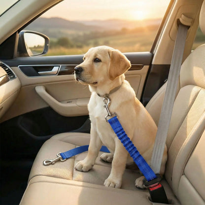 ceinture de sécurité pour chien bleue extensible