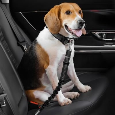 Ceinture de sécurité pour chien PawGuard ajustable
