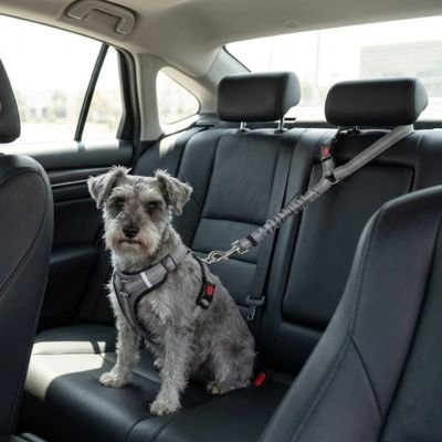Ceinture de sécurité pour chien PetSecurity grise universelle