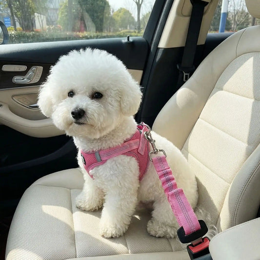 ceinture de sécurité pour chien rose bichon