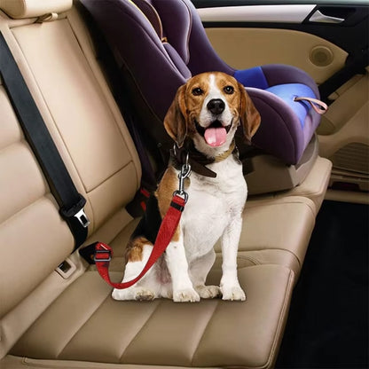 ceinture de securite pour chiens RoadZen beagle