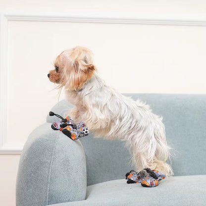 Chaussures Chien | PattesProtect
