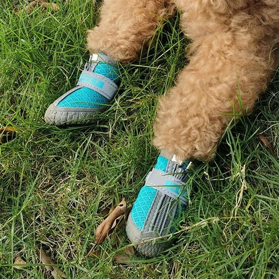 Chaussure chien avec fermeture éclair et sangles ajustables