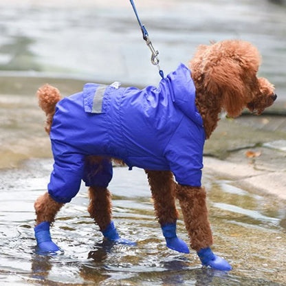 chaussure chien bleue caoutchouc et sur caniche dans flaque 
