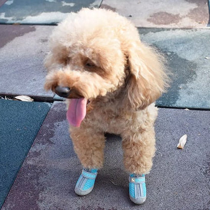 Chaussure chien résistante protège  pattes bleues