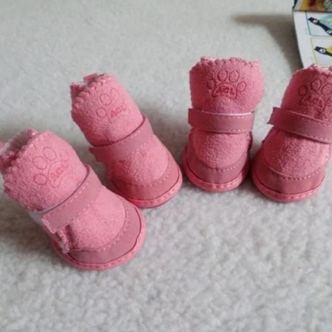 Chaussure Chien rose mignonne quatre unités