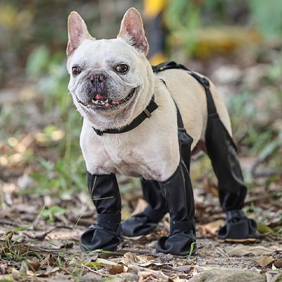 Chaussure pour chien avec sangle bulldog dans boue