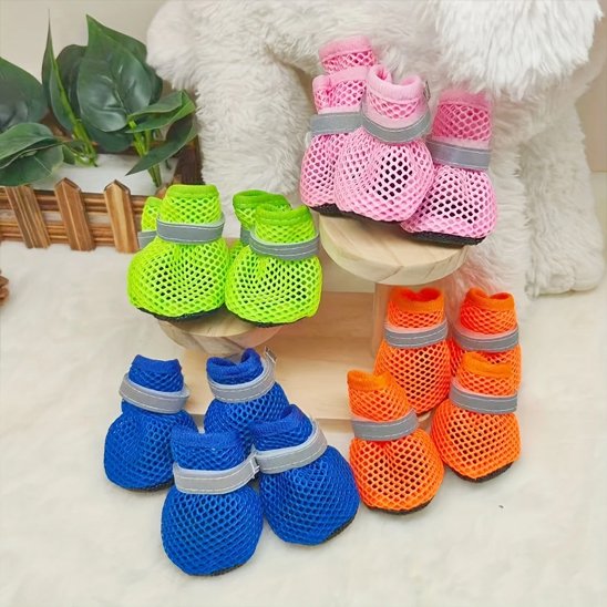 chaussure pour chien plusieurs variantes de coloris 
