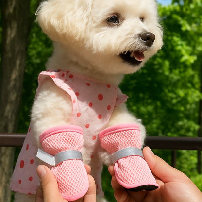 chaussure pour chien roses avec toutou bichon heureux dehors