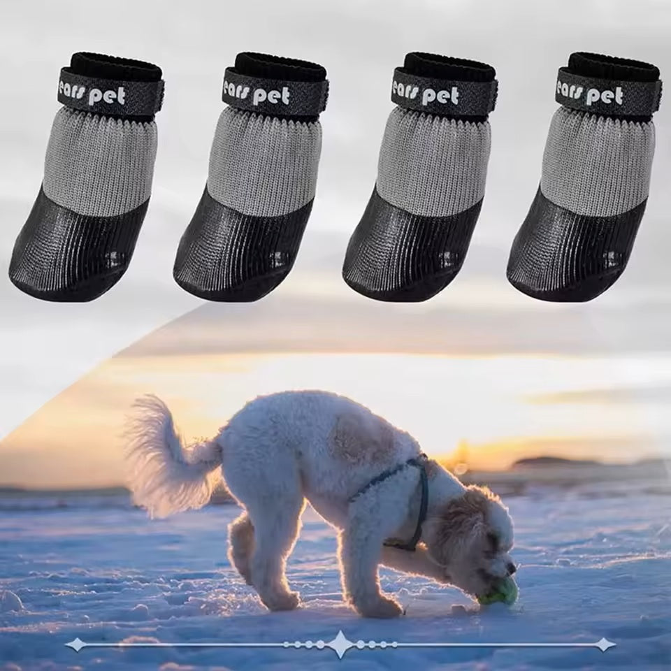 chaussure pour chien noire et grise qualité et chien jouant dans la neige