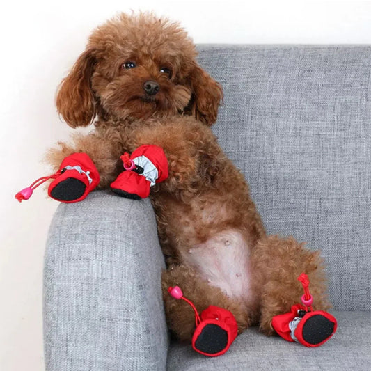 chaussures-chien-colori-mignon-rouge