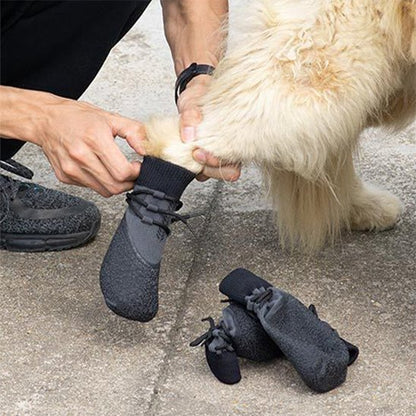 Chaussures pour Chien essais patte gauche