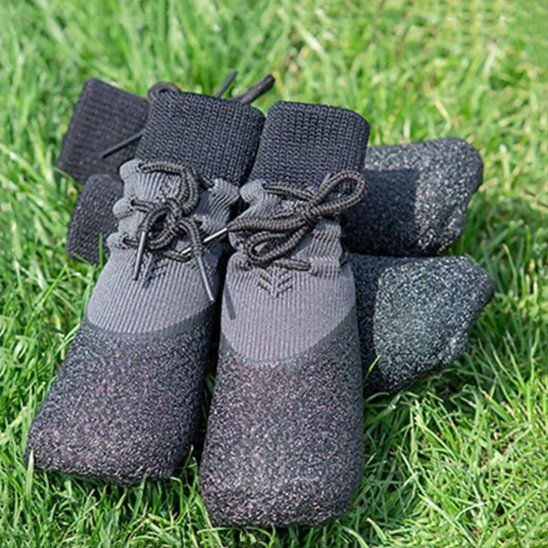 Chaussures pour Chien posé dans herbe jardin