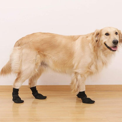 Chaussures pour chien sur golden en intérieur