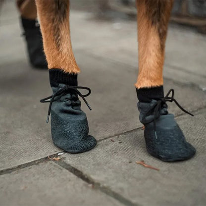 Chaussures pour Chien sur pattes avant 