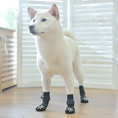 chien blanc avec Chaussettes pour chien noire anti dérappantes 