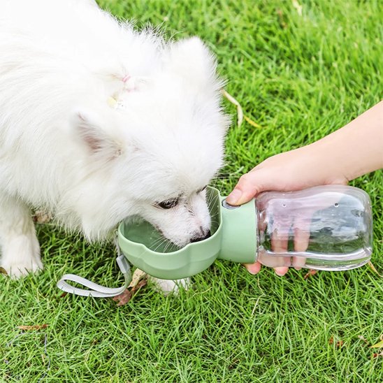 chien blanc utilisant Gourde pour Chien verte design fleur