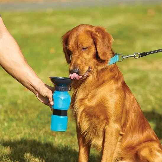 chien utilisant une Gourde eau chien​ bleue de capacité 500 ml