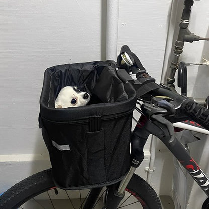 chiwawa dans Panier velo chien heureux