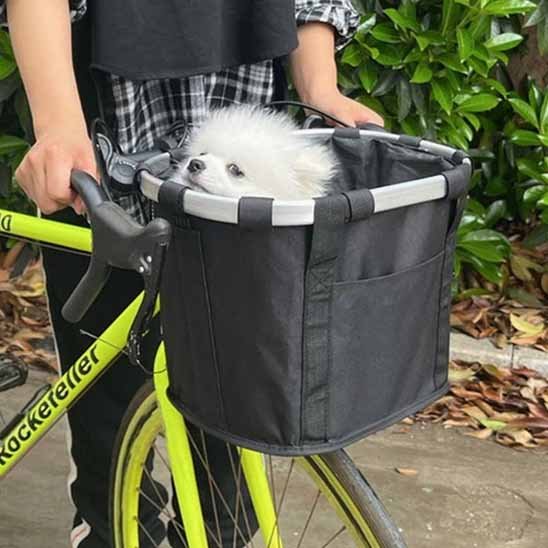 chiwawa heureux dans Panier pour chien pour vélo 