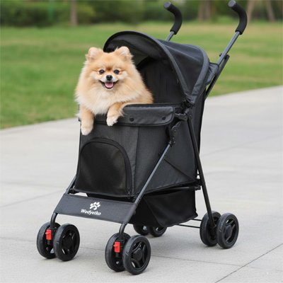 chiwawa heureux dans sa Poussette pour chien noir en balade 