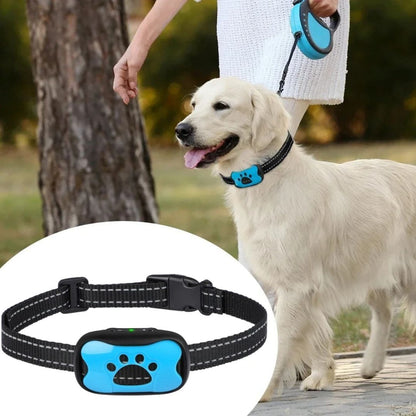 collier-anti-aboiement-blue