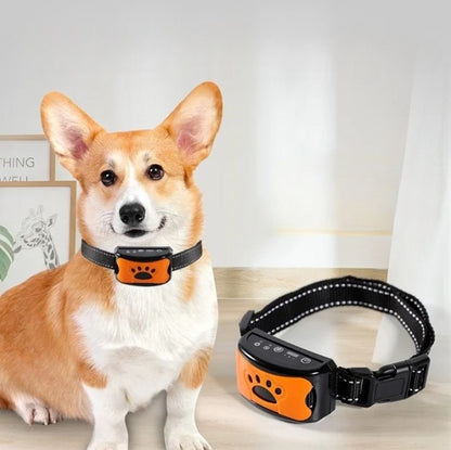 collier-anti-aboiement-orange
