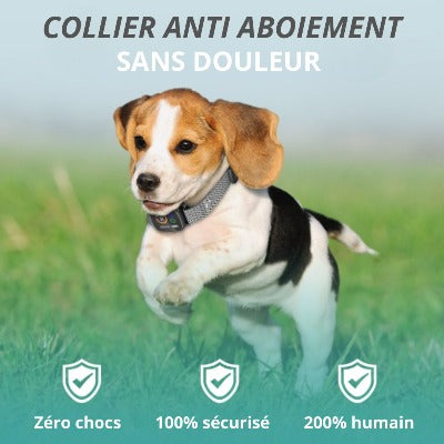 collier-anti-aboiement