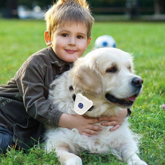 collier-anti-aboiements-education-douce-mutedog