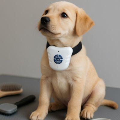 Collier anti aboiements | MuteDog™